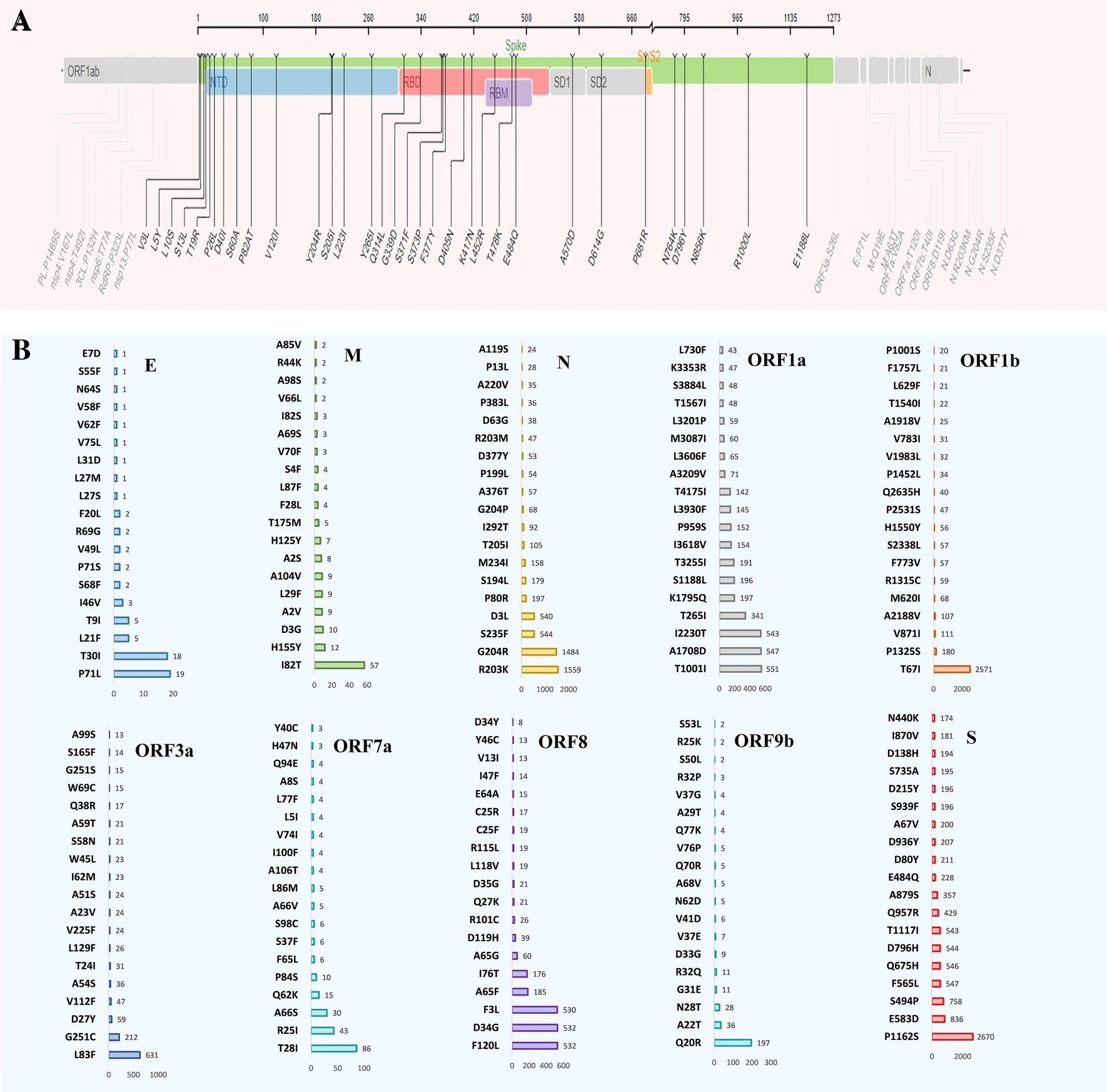 Genomic deletion analysis in SARS-CoV-2 whole genome sequences of the deceased COVID-19 patients